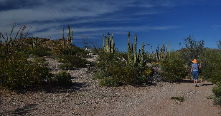 Senita Basin